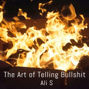 收听Ali S的The Art of Telling Bullshit歌词歌曲