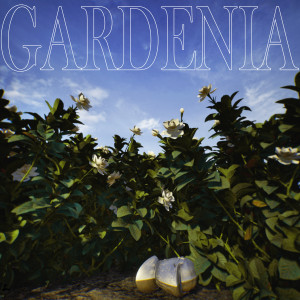 Chillobey的专辑Gardenia