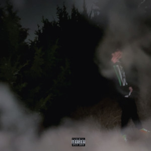 Album Idontneedyou! (Explicit) oleh Mono