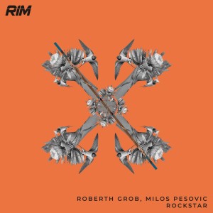 收听Roberth Grob的Rockstar歌词歌曲