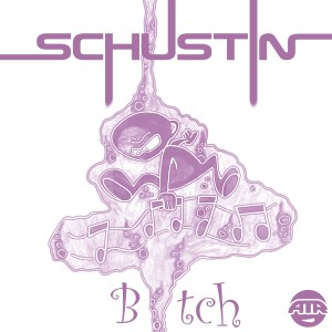 ดาวน์โหลดและฟังเพลง Bitch (Radio Edit) (Explicit) (Radio Edit|Explicit) พร้อมเนื้อเพลงจาก Schustin