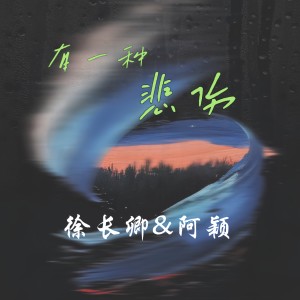 Album 有一种悲伤（合唱版） from 徐长卿