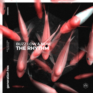 Album The Rhythm from Buzz Low