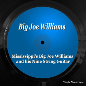 Album Mississippi's Big Joe Williams and his Nine String Guitar from Big Joe Williams