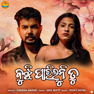 Listen to Bujhi Pariluni Tu song with lyrics from Gaurav Anand