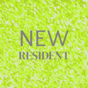 Various Artists的專輯New Resident