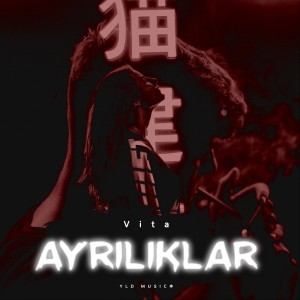 อัลบัม Ayrılıklar ศิลปิน Vita