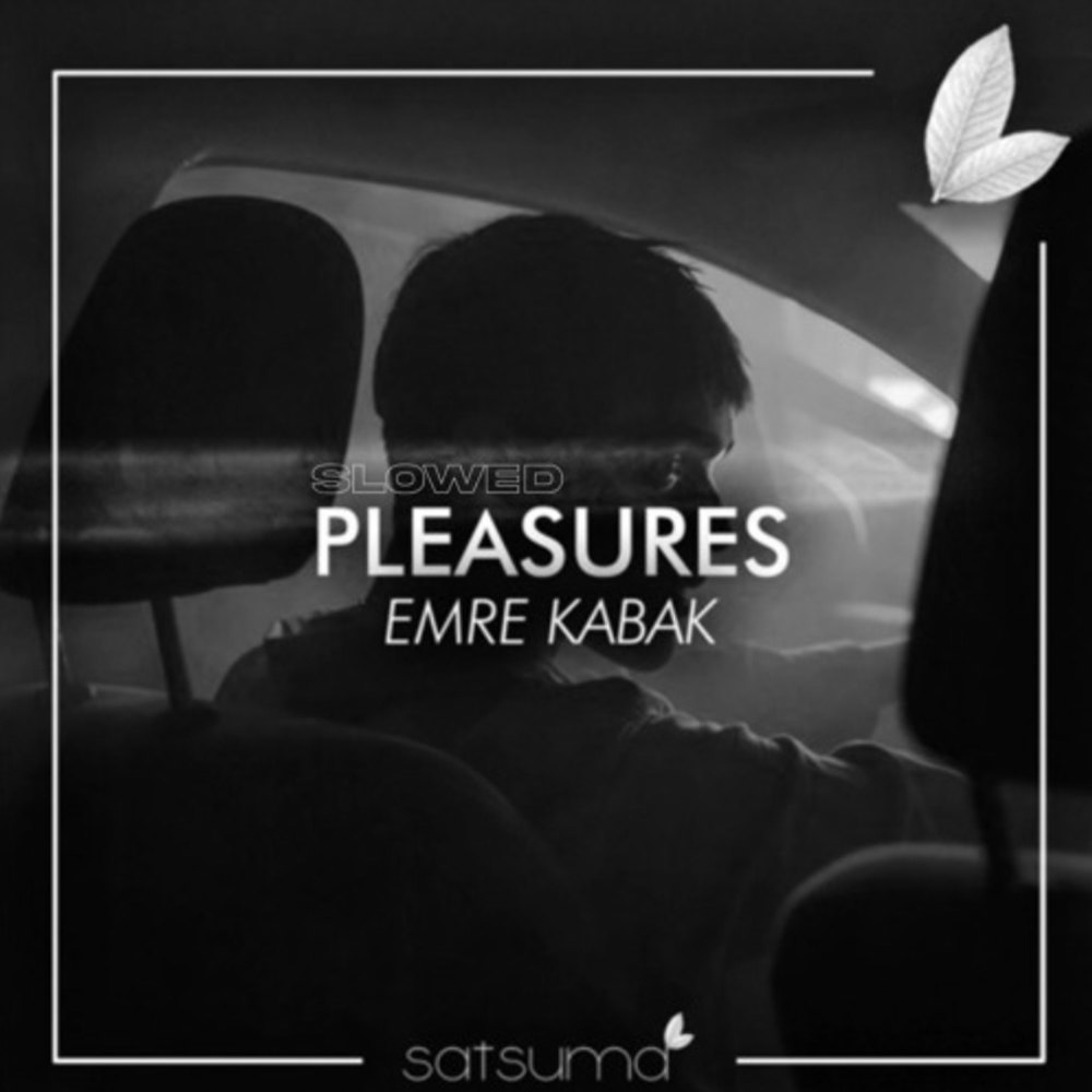 Pleasures (Slowed)