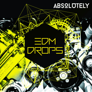 Album Absolutely edm drops from Various Artists