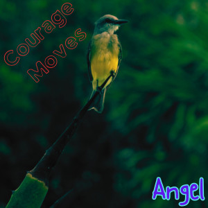 Angel的專輯Courage Moves