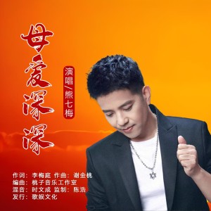 Listen to 母爱深深 (伴奏) song with lyrics from 谢金桃