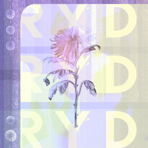 收聽RYD的Don't歌詞歌曲