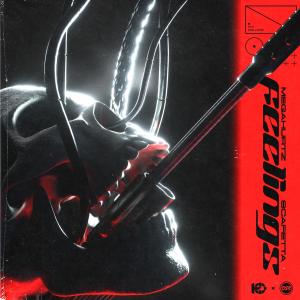 Megahurtz的專輯Feelings