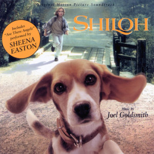ดาวน์โหลดและฟังเพลง Shiloh พร้อมเนื้อเพลงจาก Joel Goldsmith