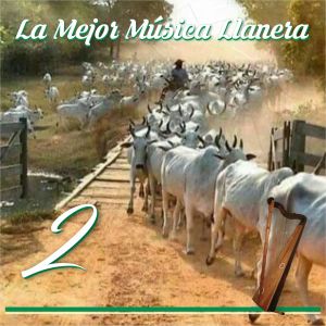 Listen to Consejo A Un Hermano song with lyrics from Ismael Querales