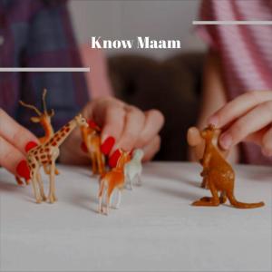 Various的专辑Know Maam