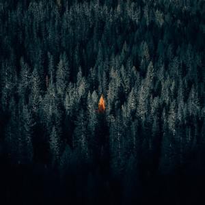 Listen to Practice song with lyrics from Relaxing Music