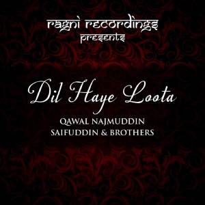 收聽Qawal Najmuddin Saifuddin And Brothers的Dil Haye Loota歌詞歌曲