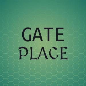 Various Artists的專輯Gate Place