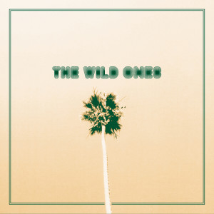 ดาวน์โหลดและฟังเพลง Come Around พร้อมเนื้อเพลงจาก The Wild Ones