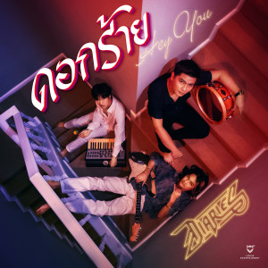 ดาวน์โหลดและฟังเพลง ดอกร้าย พร้อมเนื้อเพลงจาก Diaries