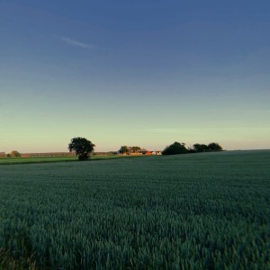 Listen to picknick song with lyrics from S N U G