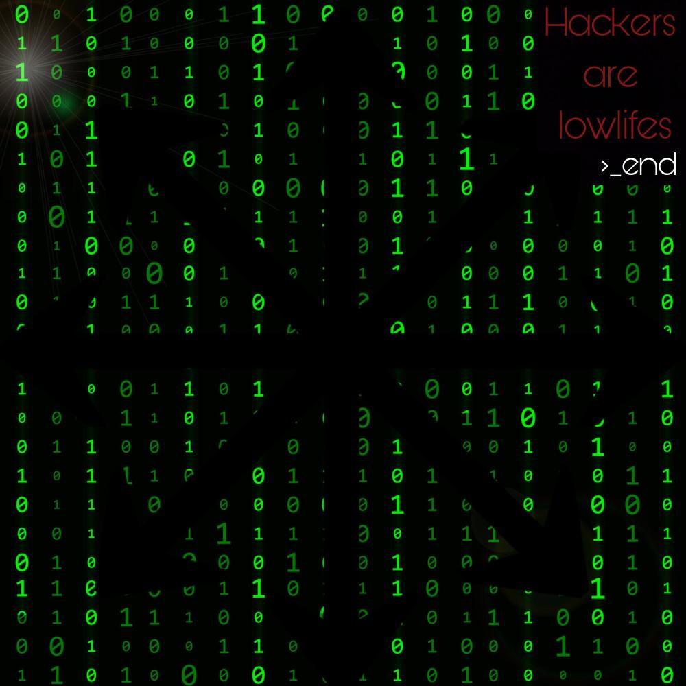 hackersarelowlifes :3 (Explicit)