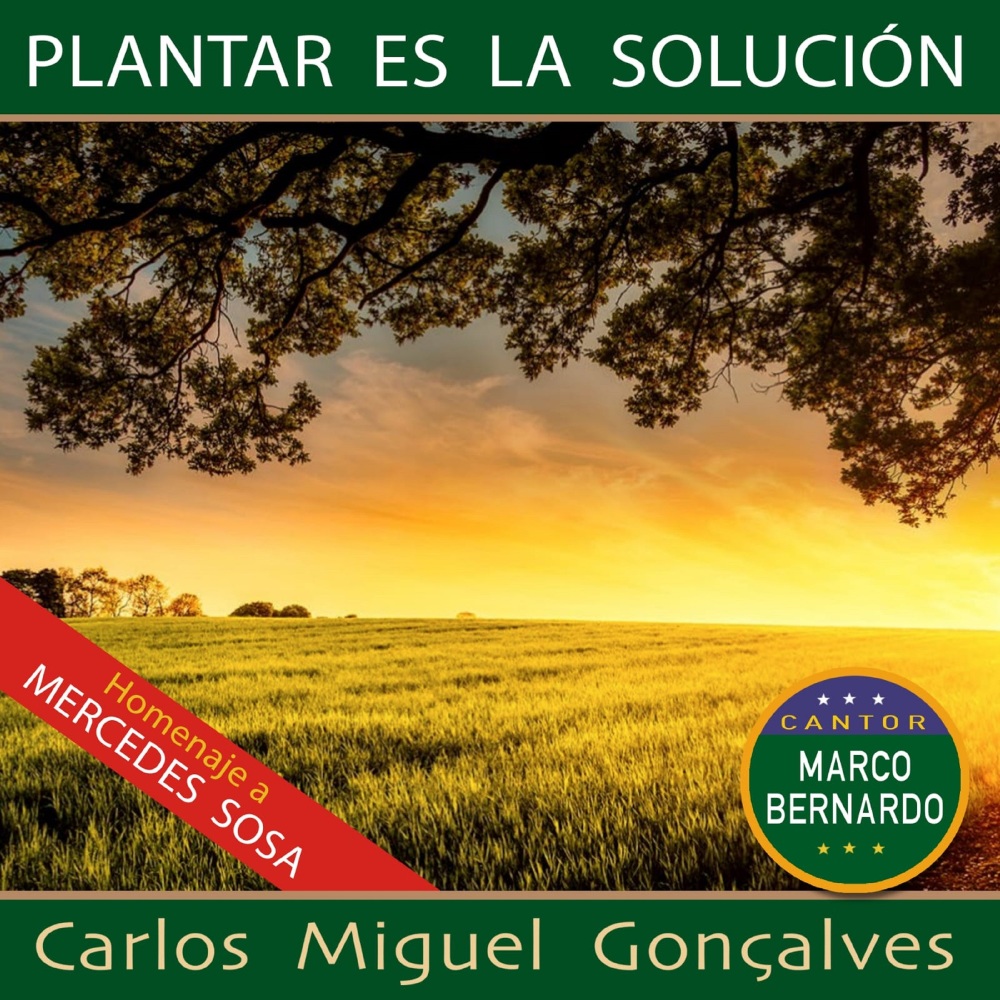 Plantar Es la Solución