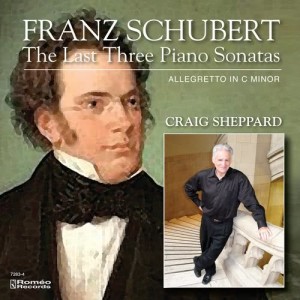 收聽Franz Seraphicus Peter Schubert的Sonata in c minor,  D 958: Allegro (其他)歌詞歌曲
