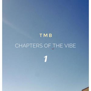 TenMoBeats的專輯Chapters of the Vibe 1