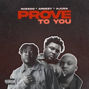 Niieedo的专辑Prove To You (Explicit)