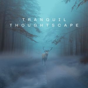 Listen to Tranquil Thoughtscape song with lyrics from Desto