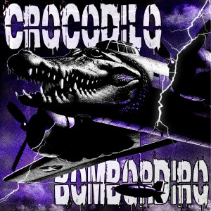 Listen to BOMBORDIRO CROCODILO FUNK (Slowed) song with lyrics from DJ CHANSEY