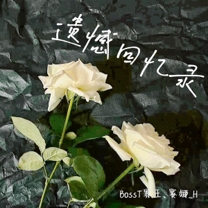 Listen to 遗憾回忆录 (完整版) song with lyrics from BossT寡王飘飘