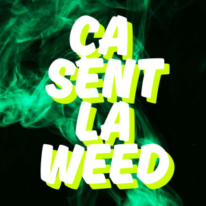 Album Ça sent la **** (Explicit) from Andrick Airways