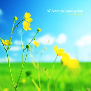 Listen to With A Soft Smile song with lyrics from Wanderer