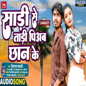 ดาวน์โหลดและฟังเพลง Sadi Ke Tadi Piab Chhan Ke พร้อมเนื้อเพลงจาก Vikash Bawali