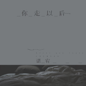 收听谌宥的你走以后歌词歌曲