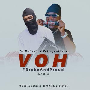 DJ Mohzaic的专辑VOH