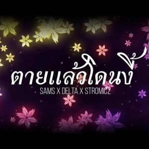ดาวน์โหลดและฟังเพลง ตายแล้วโดนงี้ พร้อมเนื้อเพลงจาก SAMS