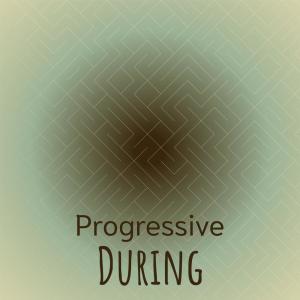 Album Progressive During from Various
