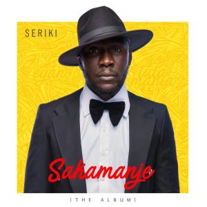 Listen to Chris Brown (Explicit) song with lyrics from Seriki