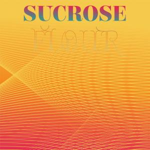 อัลบัม Sucrose Flour ศิลปิน Various