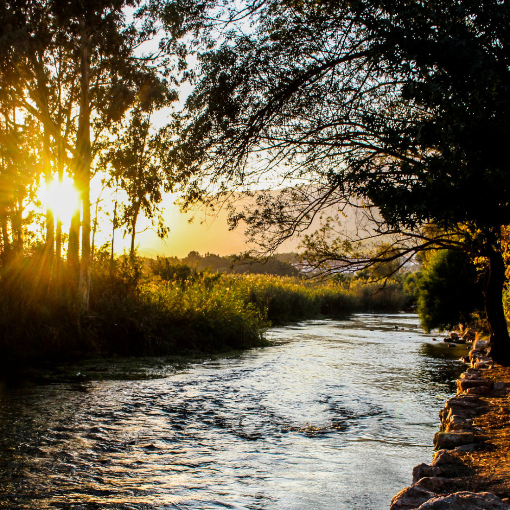 Streamside Ballad of Peace