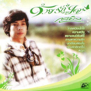 Dengarkan ห่วงใย lagu dari ภูสมิง หน่อสวรรค์ dengan lirik