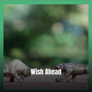 Various Artists的專輯Wish Ahead