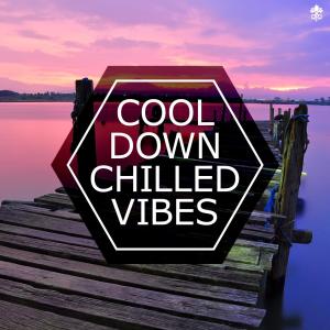 Album Cool Down Chilled Vibes from Various