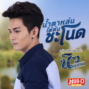 Album น้ำตาหล่นใต้ต้นชะโนด from นิว มุกดา