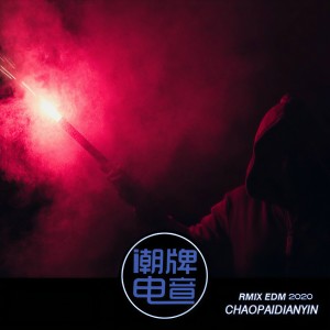Album 车载优盘 from 潮牌电音