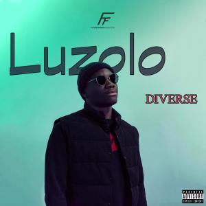 Luzolo的專輯Diverse (Explicit)